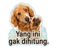 845467209