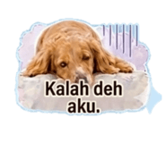 845467216
