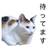 845469390