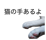 845469392