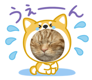 845469892