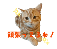 845469893