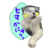 845469897