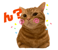845469901
