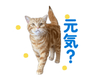845469904