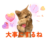 845469905