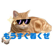 845469906