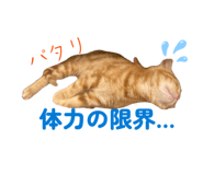 845469908