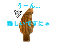 845469910