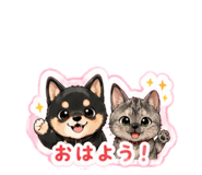 845470153