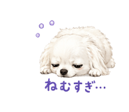 845471043