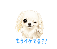 845471048