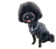 845471565