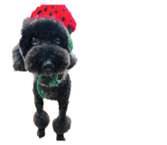 845471569