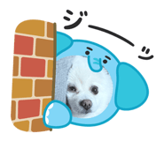 845471713
