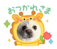 845471728