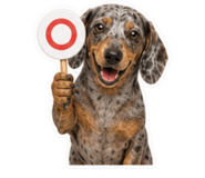 845471989