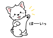 845472803