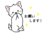 845472815