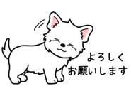 845472816