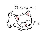 845472819