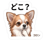 845474815