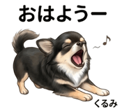 845475305