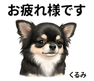845475306