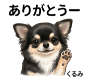 845475307