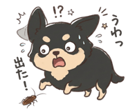 845476364