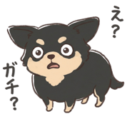 845476382