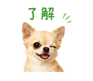 845477989