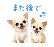 845477990