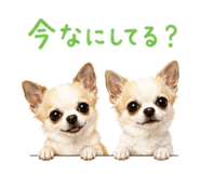 845477993