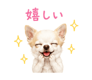 845477998