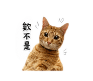 845478567