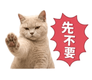 845479315
