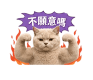 845479317