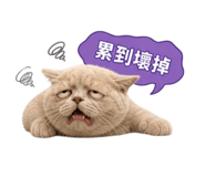 845479323