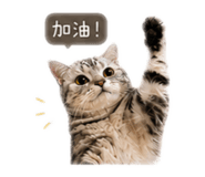 845479899