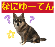845480281