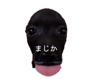 845480345