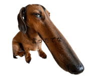 845480346