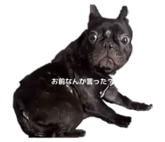 845480347