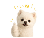 845481194