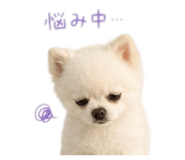 845481204