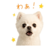 845481205