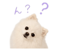 845481206