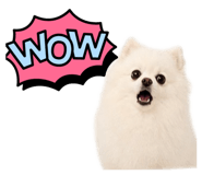 845481214