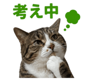 845481347
